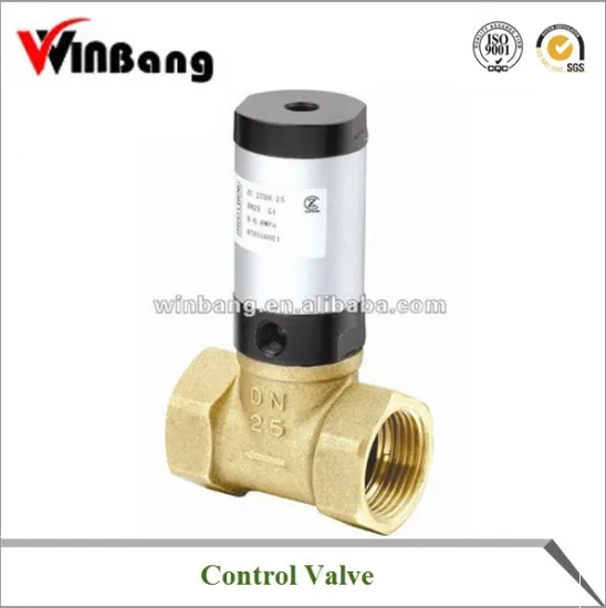 2/2way Pilot Operated Direct Acting Washing Machine Solenoid Valve