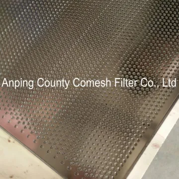 Stainless Steel Hot Perforated Baking Tray