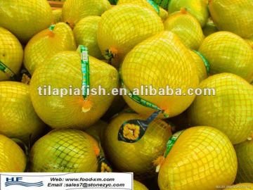 pomelo,shaddock, Chinese pomelo