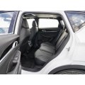 Geely Coolray Binyue汽油车
