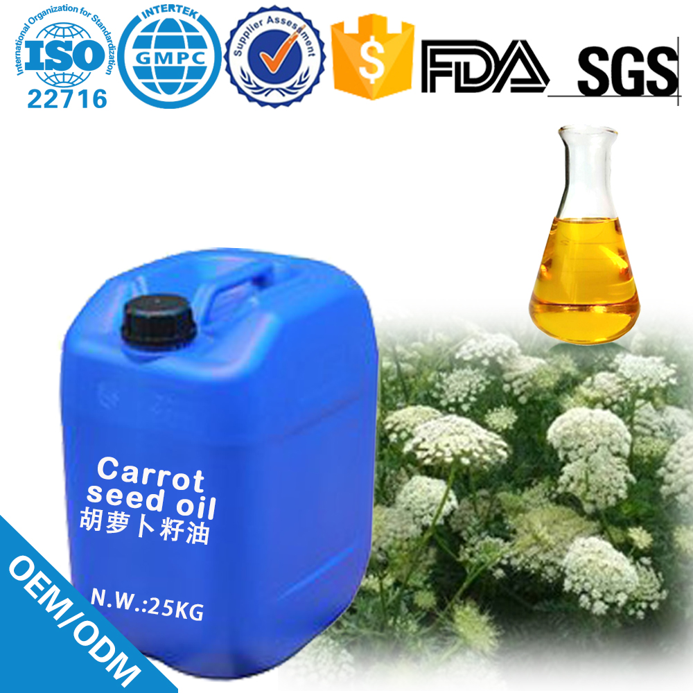 OEM 100%Pure Essential Oil Carrot seed oil