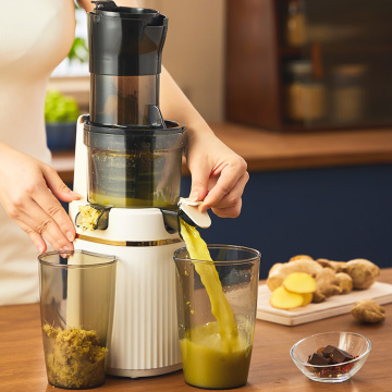 Quiet DC Motor Slow Masticating Juicer with Self-Feeding