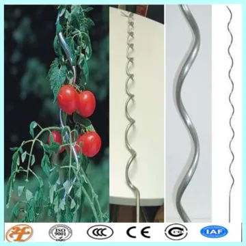 climbing plant support for tomato spiral