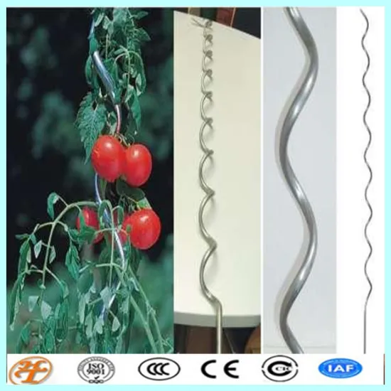 stainless steel climbing plant support wire( professional manufacturer )