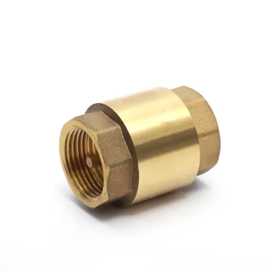 China Manufacture 1/2-4 Inch Standard Medium Pressure FXF PN20 Brass Vertical Spring 2 Two Way Water Check Valve