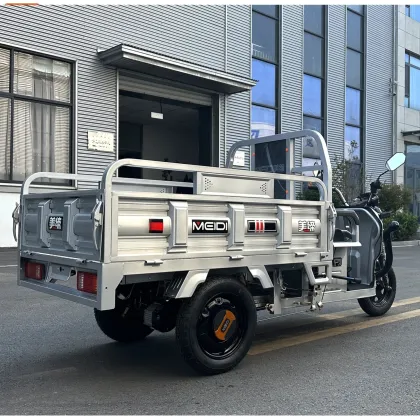 Meidi Wholesale Price Trike Electric Tricycle for Cargo