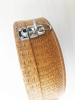 Malubly Hard Shell Cases for Electric Guitars and Basses