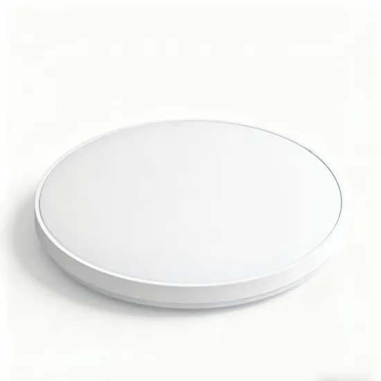 Energy Efficient 18W LED Ceiling Light