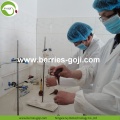 โรงงานขายส่งสินค้าราคาพิเศษมาตรฐานอียู Goji Berry