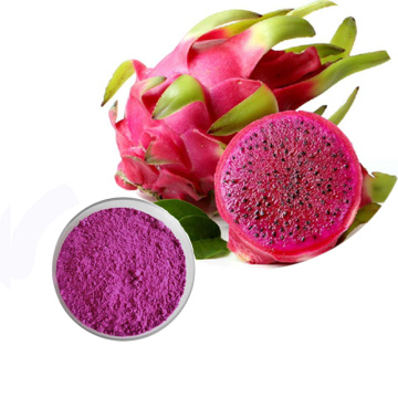 Dragon Fruit Extract Pitaya Fruit Freeze Dried Powder