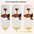 Home Decorative Modern Design ABS Blade Cool Fans