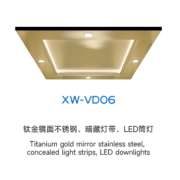 Потолочный лифт серии XW-VDO6