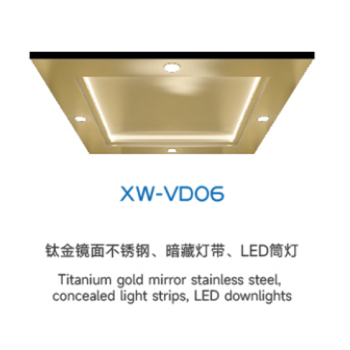 Потолочный лифт серии XW-VDO6