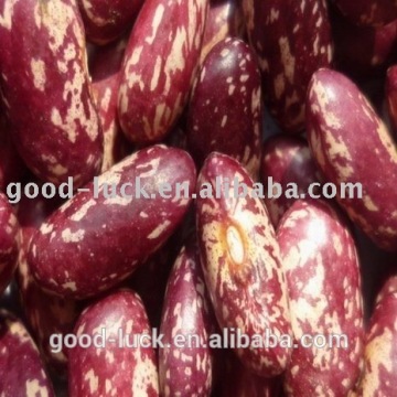 Chinese purple speckled kidney beans