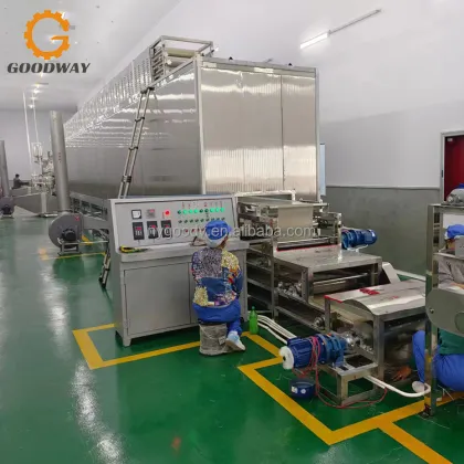100-300 kg/h Starch Vermicelli Production Line - Fresh Vermicelli Making Machine