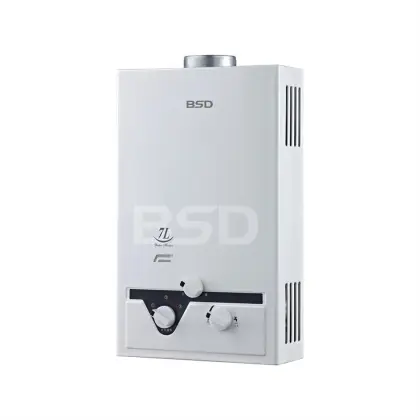 BSD flue type gas water heater