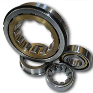 120mm Bore Cylindrical Roller Bearing Nj 224 Ecj, Nj 224 Ecm, Nj 224 Ecml, Nj 224 Ecp, Single Row