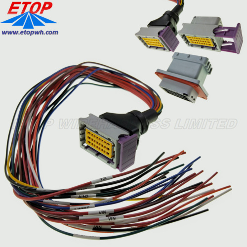 Gruppo cavo impermeabile per auto a 24 pin ECU