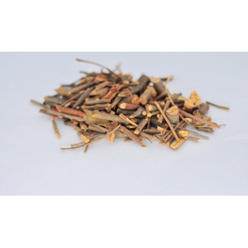 Top Quality Herba Taxilli