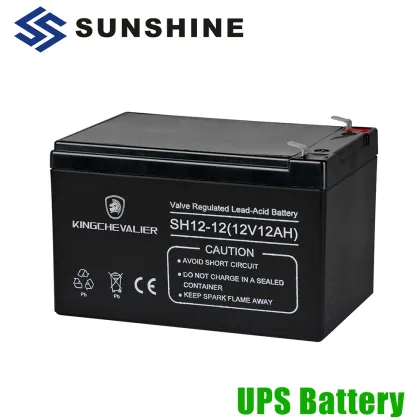 Sealed Lead Acid Exide 12V 12Ah 20Hr Battery