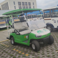 4-seater lead-acid battery car