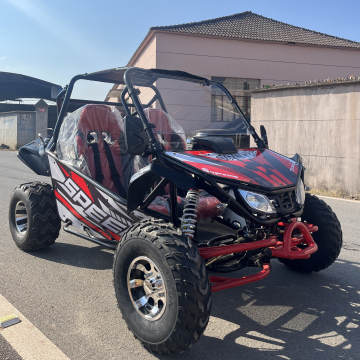 2024 2-Seater Electric Buggy with Shaft Drive and Adjustable Seats