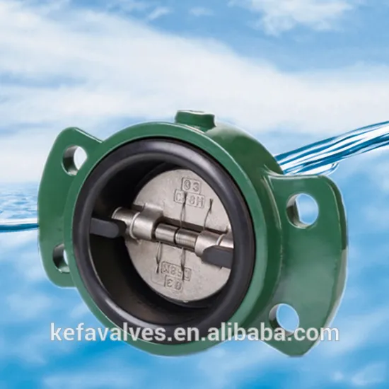800 series flanged check valve