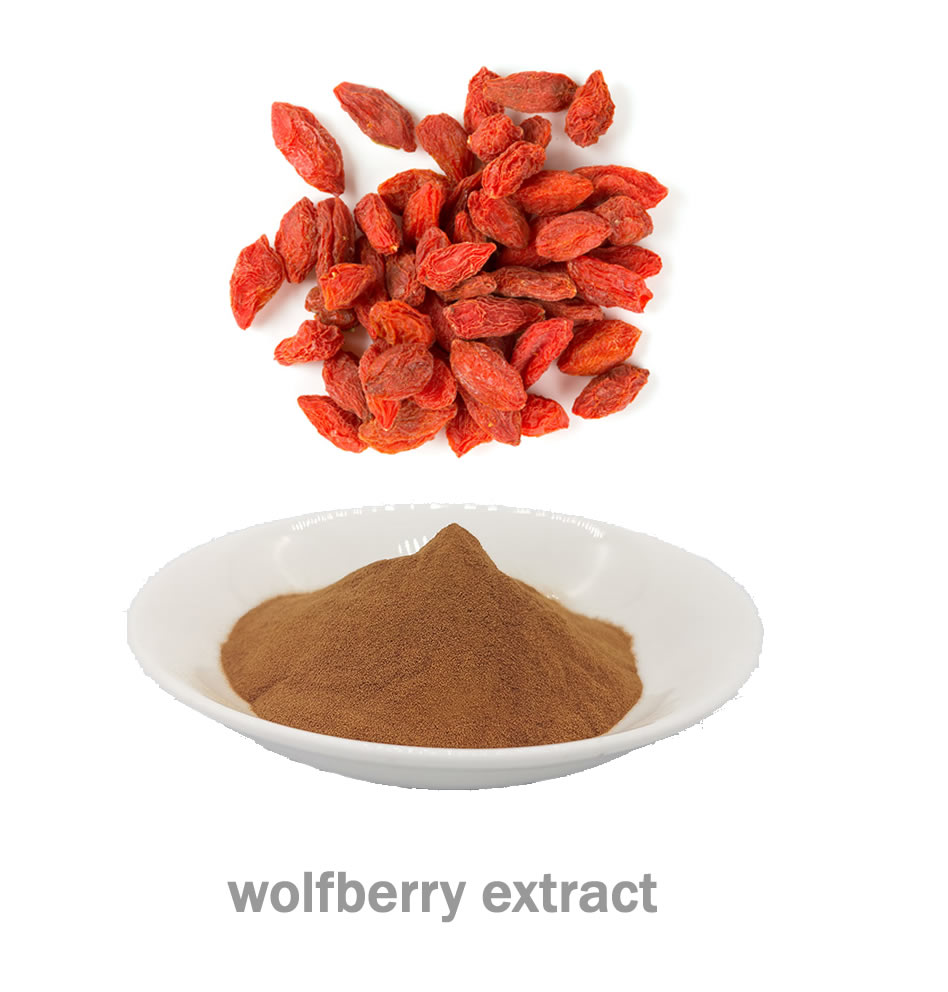 Goji Berry Wolfberry Extract Powder