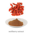 Goji Berry Wolfberry Extract Powder
