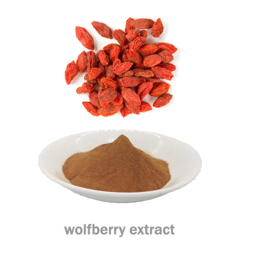 Goji Berry Wolfberry Extract Powder