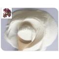 /msite/products/detail/productid/54581271/id/542681.html