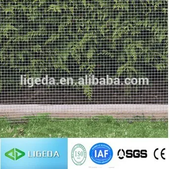 iron wire 5.5 mm coils