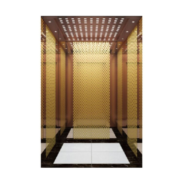 High Stability 320kg 3-Floor Home Elevator - Factory Price AC VVVF Drive