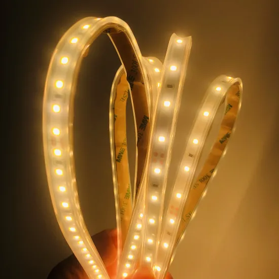8mm 2835 120leds RA90 LED Strip Light for Landscape Application