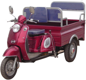 BS110ZH-3 tricycle