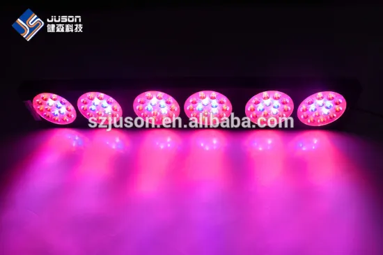 High Lumen 300W LED Grow Light For Indoor Hydroponic Plant Lighting