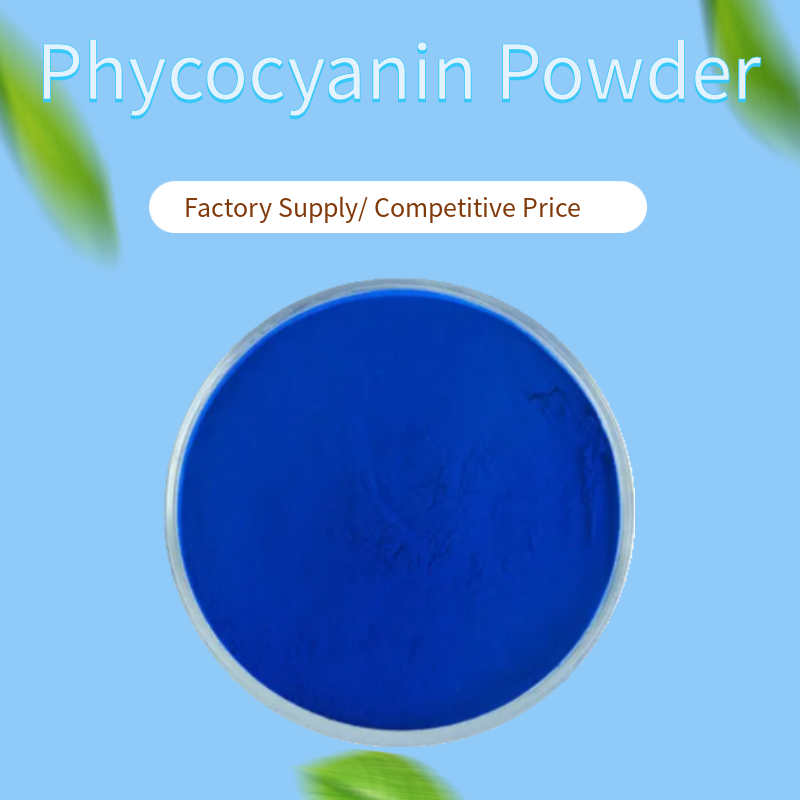 Natürlicher Himmelblau -Grün Algenpulver Pigment Phycocyanin