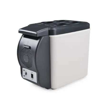 Customized Mini Refrigerator Car