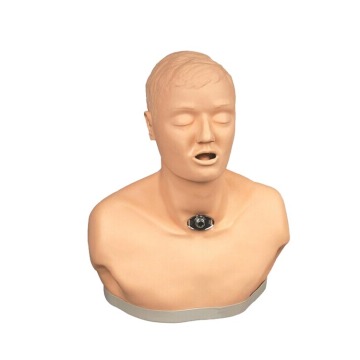 Factory Supply SC-H58 Advanced PVC Adult Tracheotomy Nursing Manikin Medical Model" could be shortened to:

"SC-H58 Advanced PVC Adult Tracheotomy Nursing Manikin