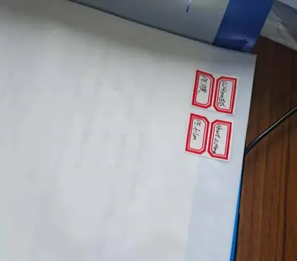 band-aid industry special pet release film