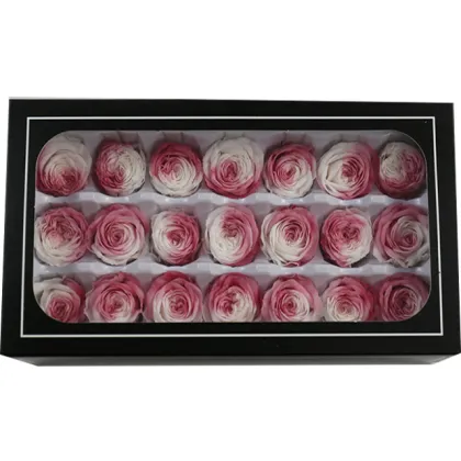 Wholesale Long-Lasting Austin Preserved Roses - Eternelle Eternal Flowers