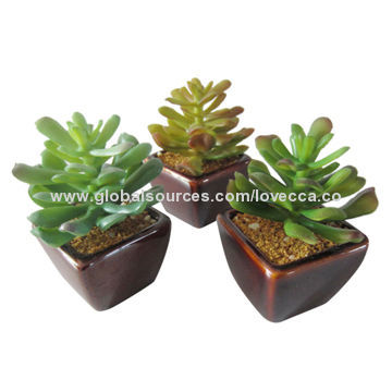 2014 top quality fashion immortalized artificial plant