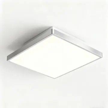 Ceiling light with wide coverage