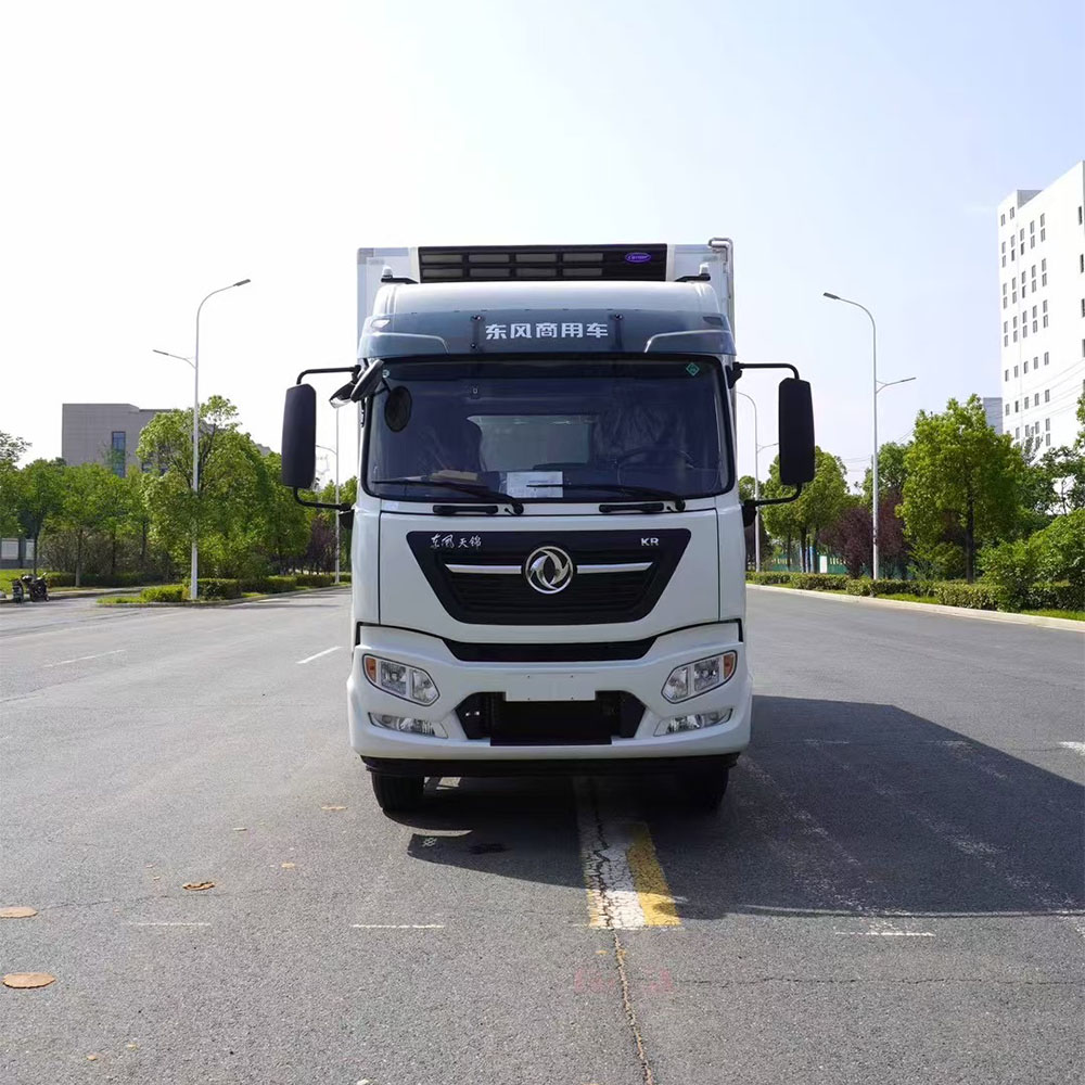 Dongfeng tianjin KR (2)