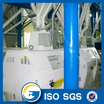 Maize flour mill plant