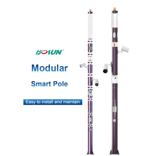Modular Smart Light Pole with Integrated Camera and Charging Station