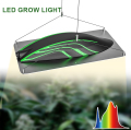 LED Grow Light Best para invernadero/horticultura interior