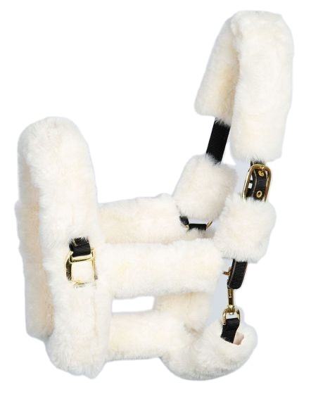 Horse Luxury Equestrian Headcollar