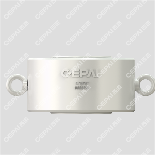 Double plate check valve