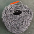500 metri di filo spinato Fencing Wire